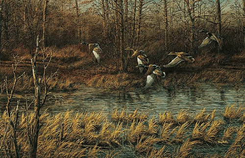 (image for) Apple River Mallards Encore